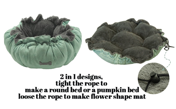 PET884 2 In 1 Pet Flower Bed